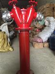 Trụ cứu hỏa 2 cửa D65