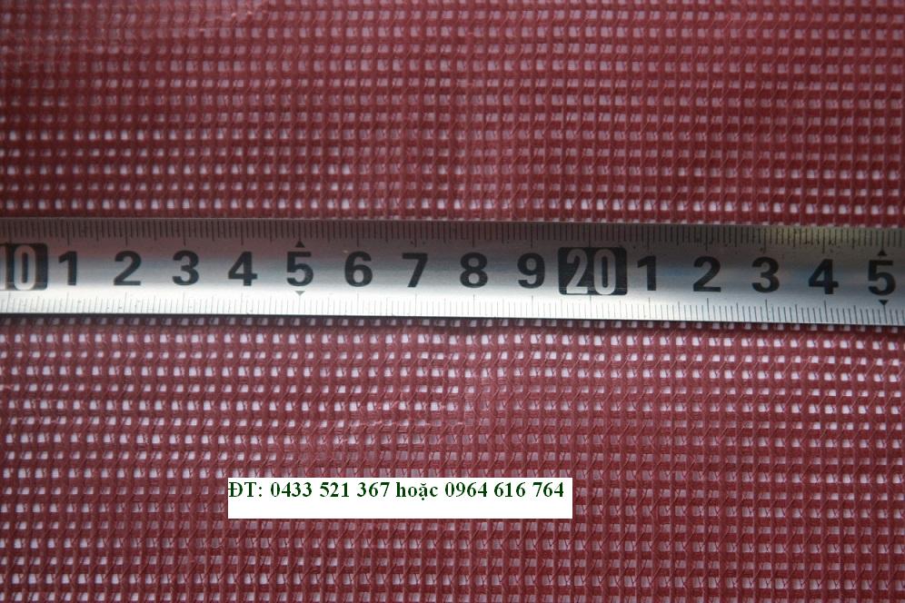 Lưới nguyên sinh